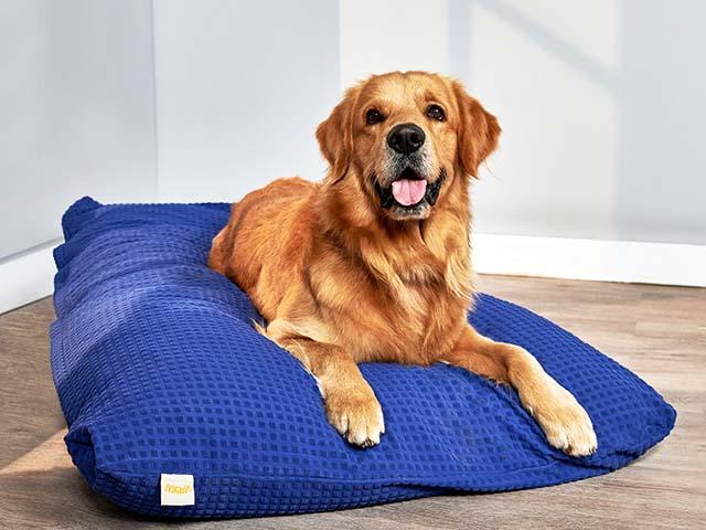 Dog Beds