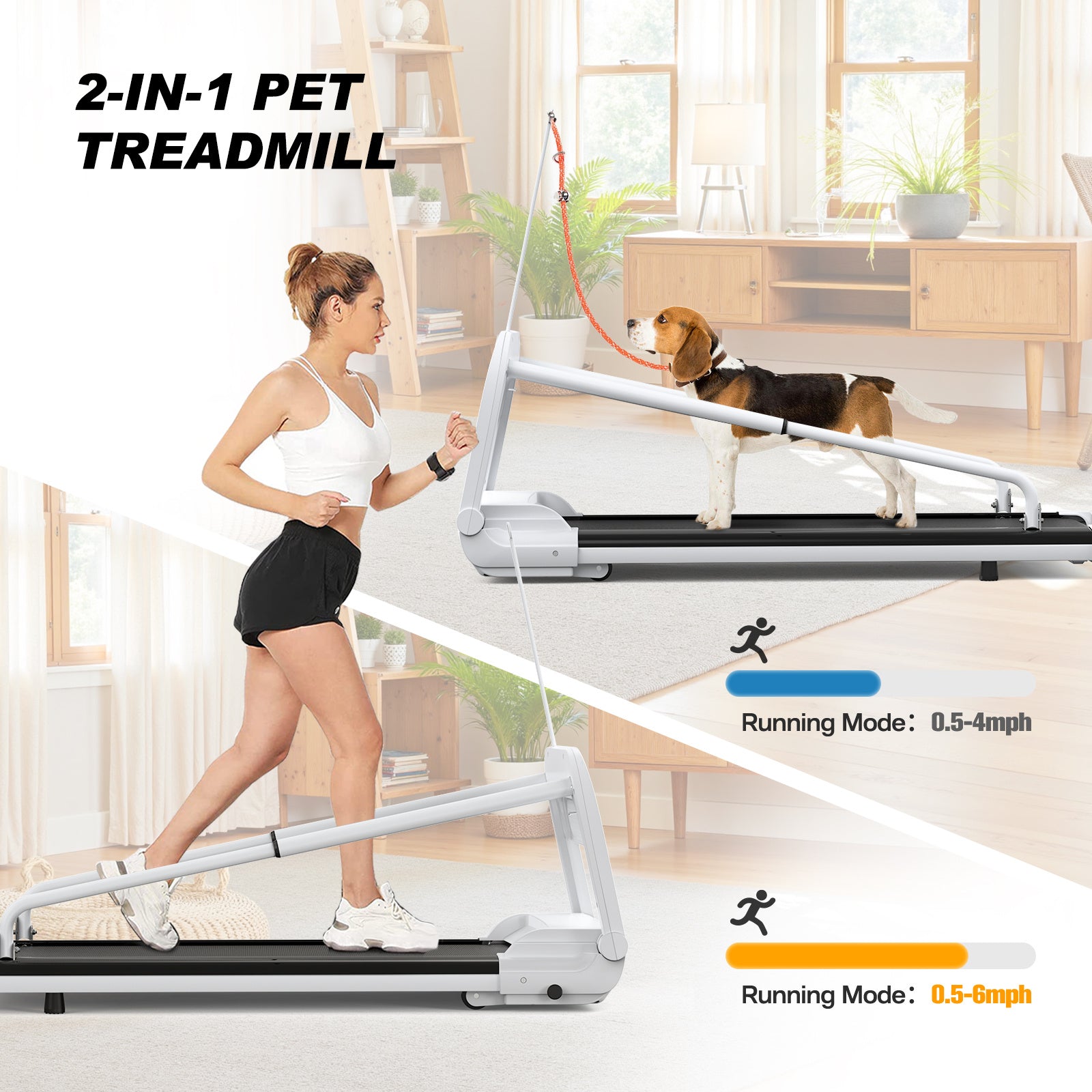 Smart Dog Treadmill