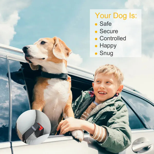 Dog Seat Belt Leash
