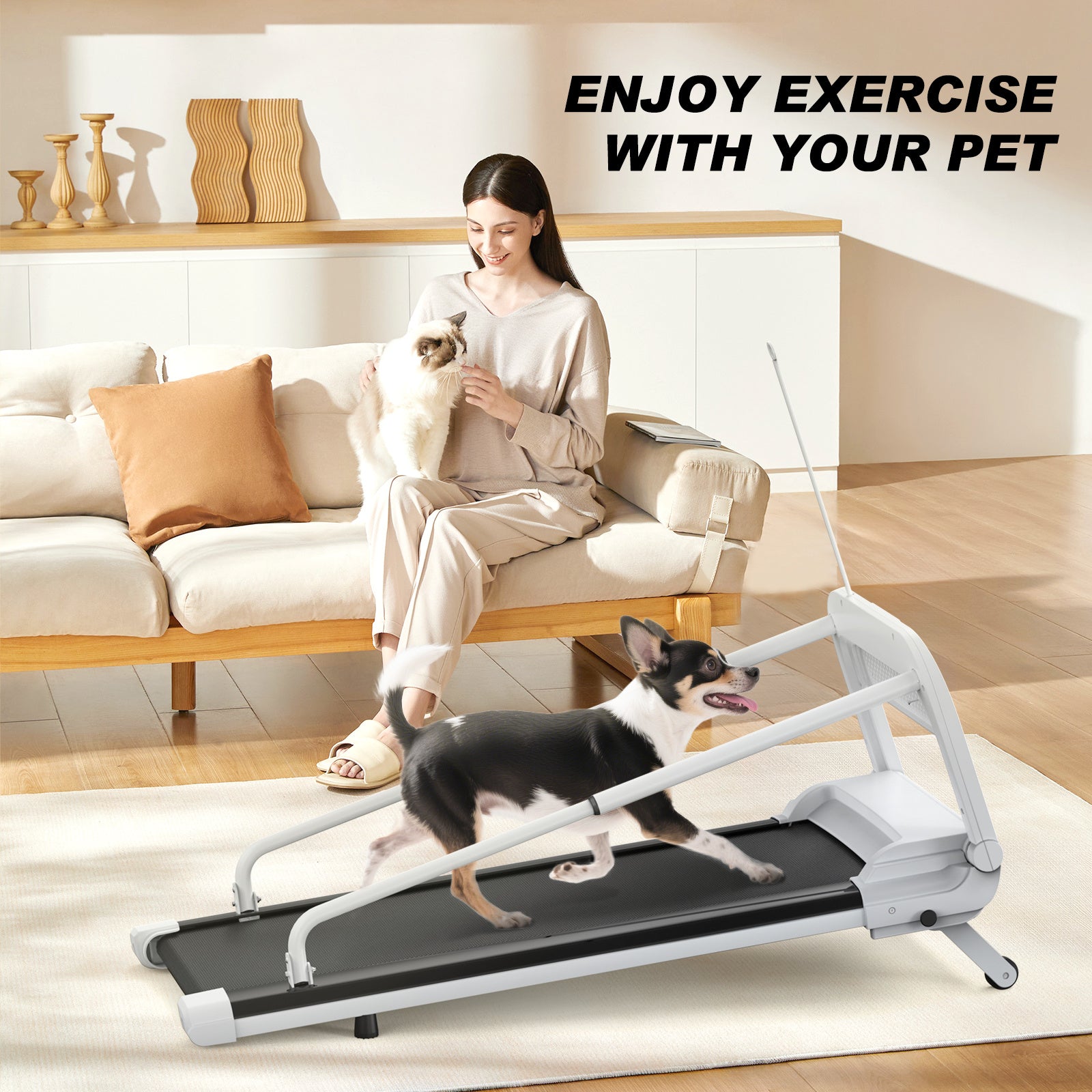 Smart Dog Treadmill