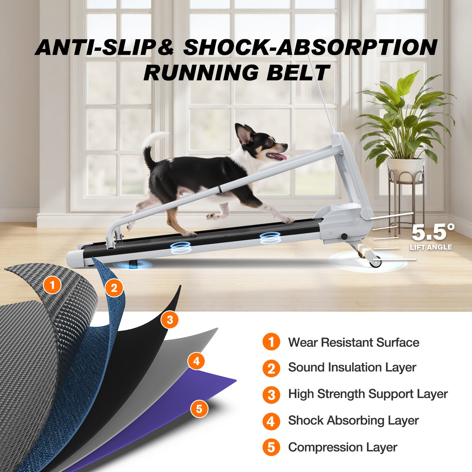 Smart Dog Treadmill