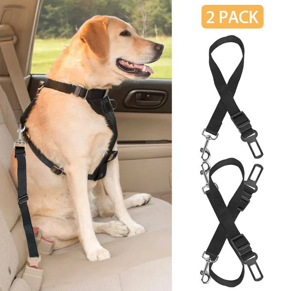 Dog Seat Belt Leash