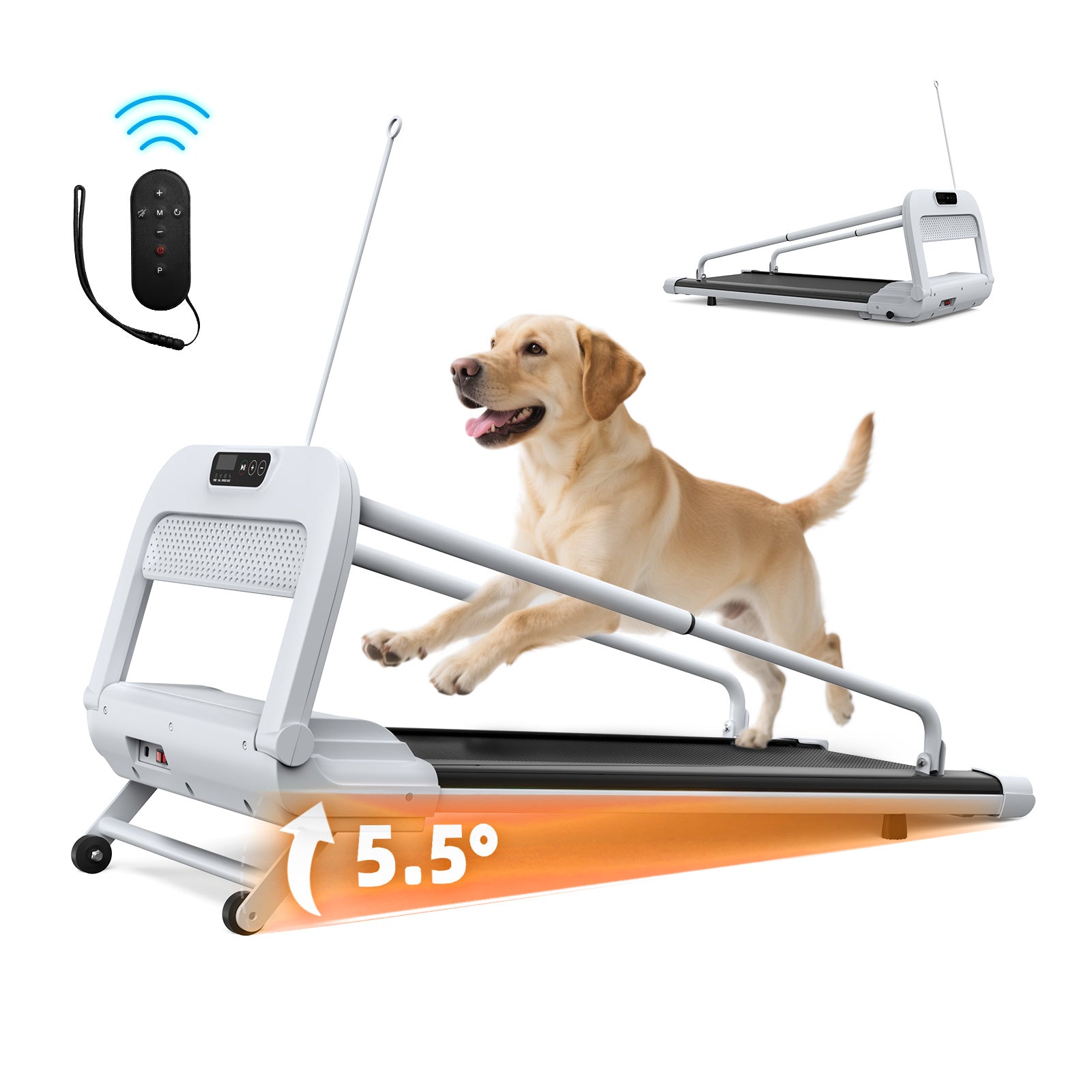 Smart Dog Treadmill