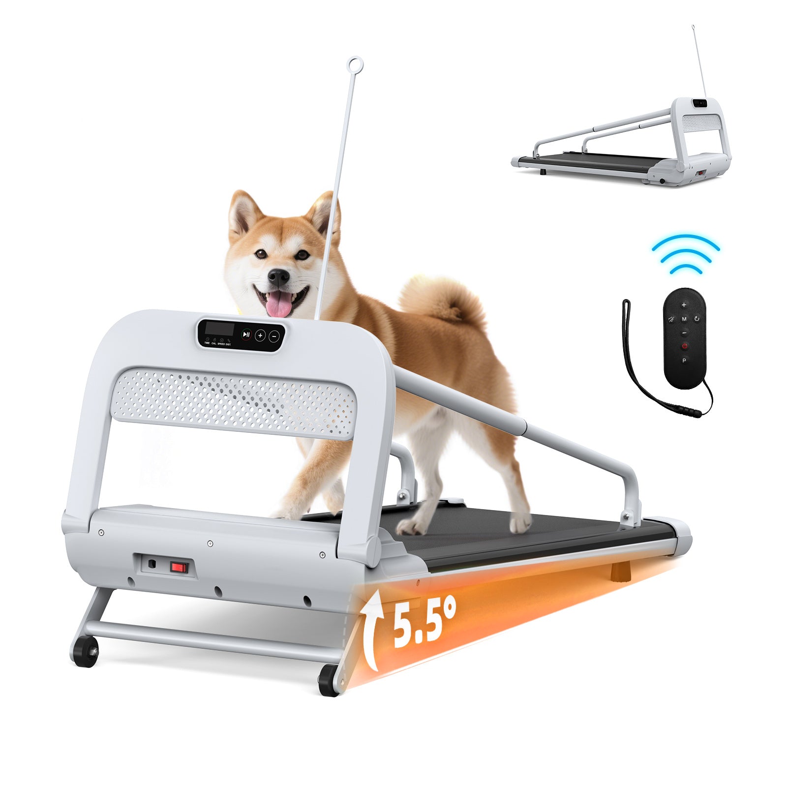 Smart Dog Treadmill