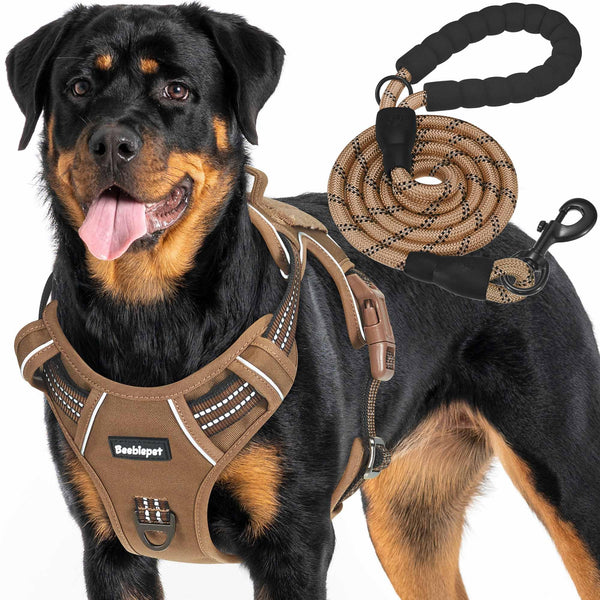 Collars & Harness